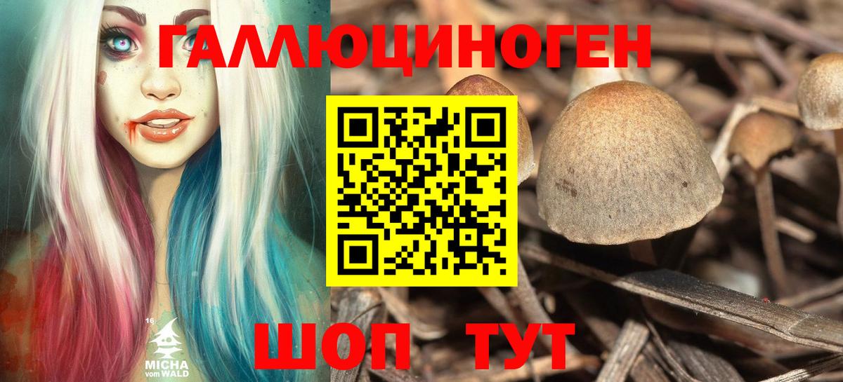 Галлюциногенные грибы GOLDEN TEACHER  где найти   Вход с VPN  Корсаков  Псилоцибиновые грибы Psilocybe 